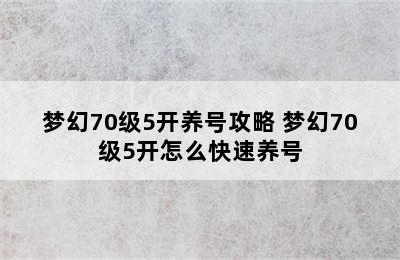 梦幻70级5开养号攻略 梦幻70级5开怎么快速养号